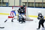 AO_NorthStarsvRhinos_5Jul_0171