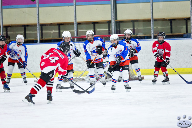 AO_BearsvNorthStars_5Jul_0013