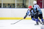 NIHL_SharksvHawks_13Sep_0124