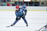 NIHL_SharksvHawks_13Sep_0243