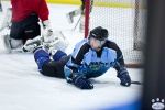 NIHL_SharksvHawks_13Sep_0260