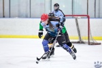 NIHL_SharksvHawks_13Sep_0208