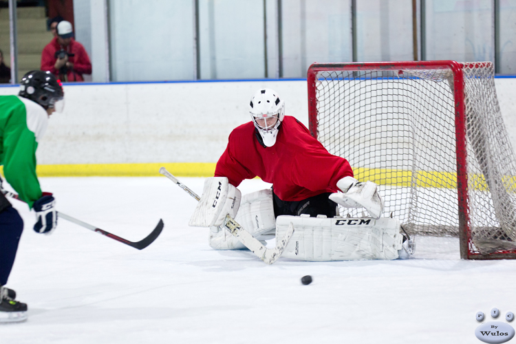 NIHL_SharksvHawks_13Sep_0314