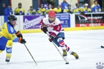 KnightsvWhiteBear_21Mar_0494