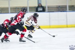 Game 7 Aldergrove Bruins v St Paul Sioux 22Mar