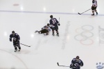BearsvIce_SF2_0276.jpg
