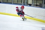 IceCrocsvWhiteBear_23Mar_0465