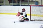 IceCrocsvWhiteBear_23Mar_0128
