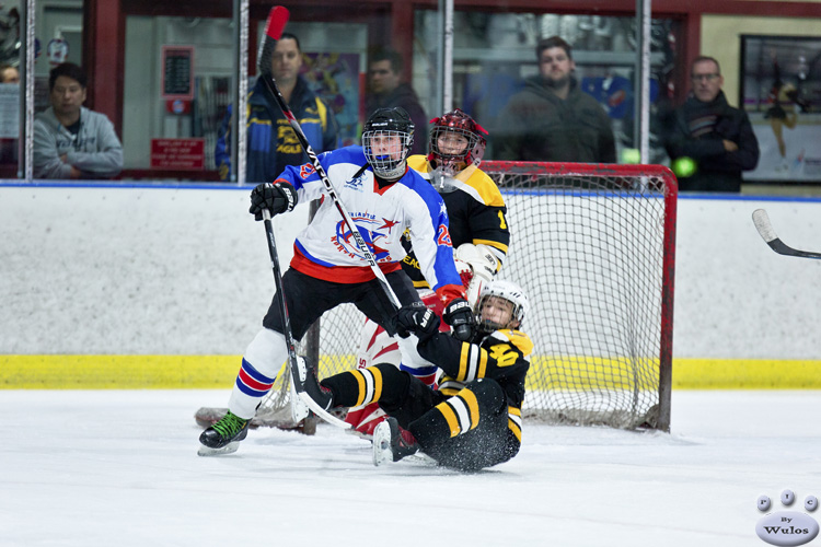 Bantams_NorthStarsvEagles_30May_0229