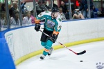 IceDogsvNorthStars_14Jun_0245