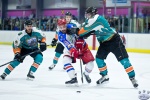 IceDogsvNorthStars_14Jun_0338