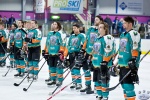 IceDogsvNorthStars_14Jun_0048