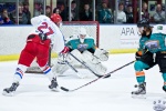 IceDogsvNorthStars_14Jun_0114