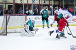 IceDogsvNorthStars_14Jun_0266