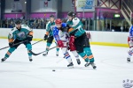 IceDogsvNorthStars_14Jun_0337