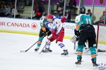 IceDogsvNorthStars_14Jun_0357