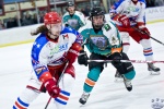 IceDogsvNorthStars_14Jun_0578