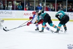 IceDogsvNorthStars_14Jun_0628