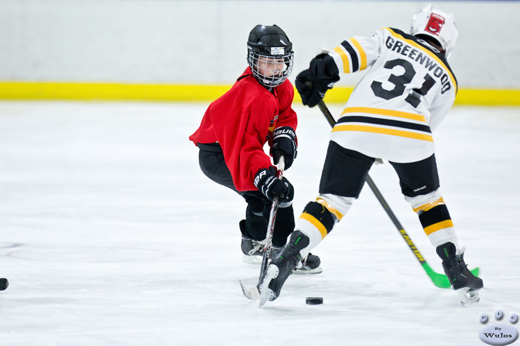 AO_SF1_VICvStars_0152