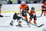 AO_Bronze_FlyersvStars_0028