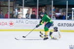 2015AIHL_AllStars_13Sep_0708