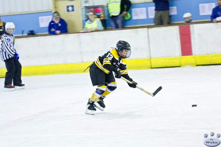 Coffs_IceSkirmish_Squirts_NorthStarsvSouthernStars_0087