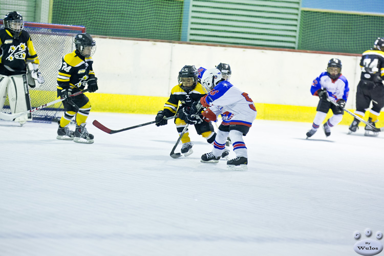 Coffs_IceSkirmish_Squirts_NorthStarsvSouthernStars_0112