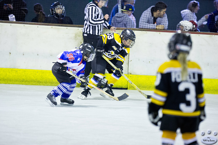 Coffs_IceSkirmish_Squirts_NorthStarsvSouthernStars_0139