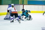 Pee Wees North Stars v Phoenix