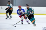 WC_IceDogsvNorthStars_20Mar_0129