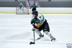 WC_IceDogsvNorthStars_20Mar_0205