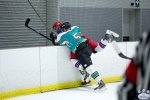WC_IceDogsvNorthStars_20Mar_0352