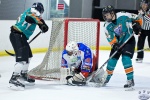 WC_IceDogsvNorthStars_20Mar_0110