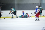 WC_IceDogsvNorthStars_20Mar_0189