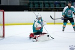 WC_IceDogsvNorthStars_20Mar_0290