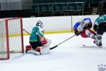 WC_IceDogsvNorthStars_20Mar_0310