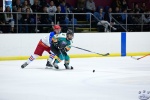 WC_IceDogsvNorthStars_20Mar_0391