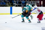 WC_IceDogsvNorthStars_20Mar_0584