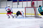WC_NorthStarsvIceDogs_2Apr_0317
