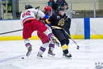 ECSL_NorthStarsvSting_10Apr_0277