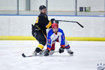 ECSL_NorthStarsvSting_10Apr_0031