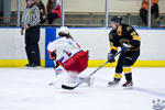 ECSL_NorthStarsvSting_10Apr_0042