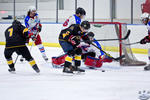 ECSL_NorthStarsvSting_10Apr_0102