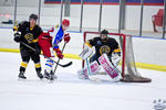 ECSL_NorthStarsvSting_10Apr_0228