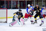 ECSL_NorthStarsvSting_10Apr_0311