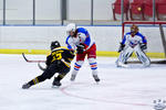 PeeWees_NorthStarsvEagles_10Apr_0112