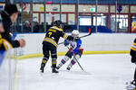 PeeWees_NorthStarsvEagles_10Apr_0214