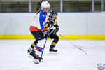 PeeWees_NorthStarsvEagles_10Apr_0237