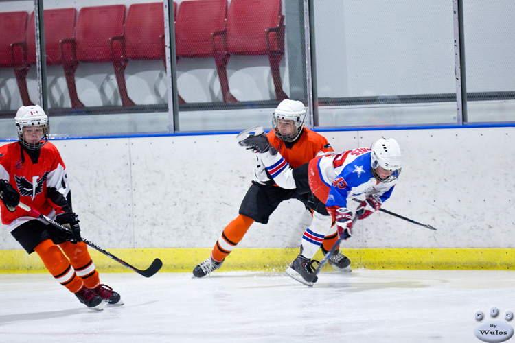 PeeWees_NorthStarsvFlyers_16Apr_0032