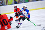 PeeWees_NorthStarsvFlyers_16Apr_0042